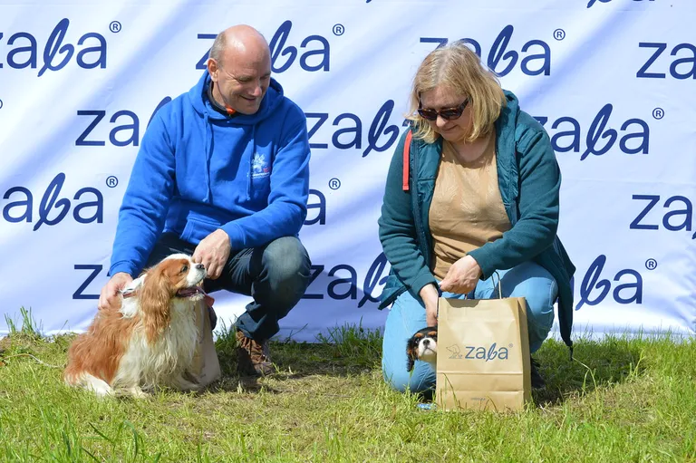 Tartus toimunud koerte orienteerumispäev tõi kokku üle paarisaja koera.
