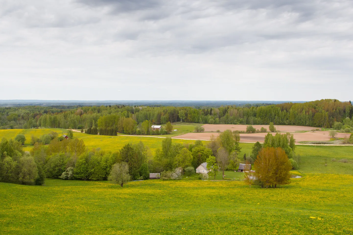 Karula kandis on viimastel aastatel mitukümmend maatükki omanikku vahetanud. Foto on illustratiivne.