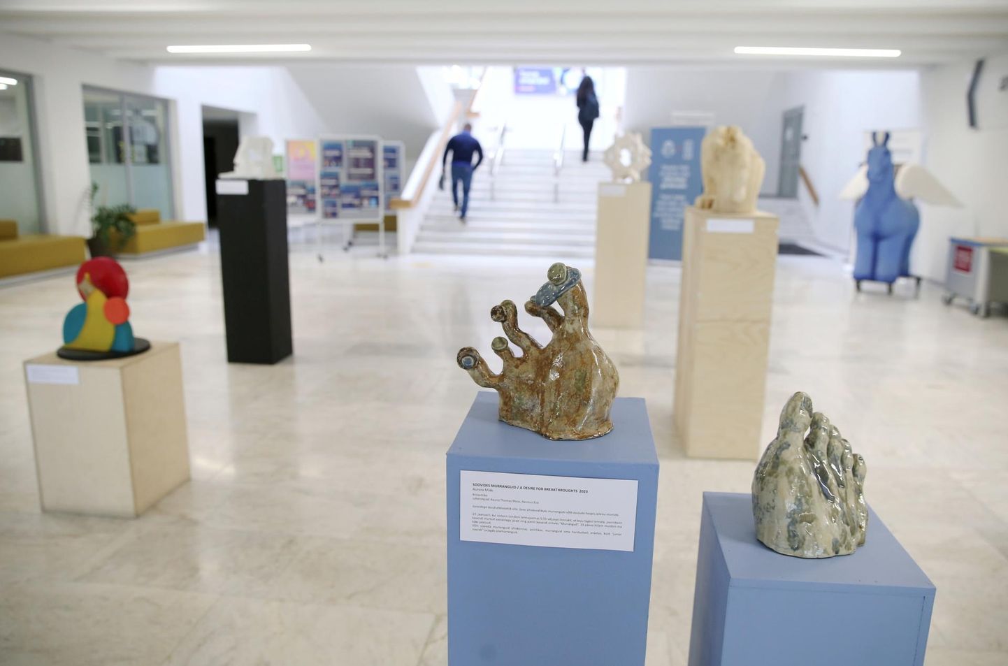 TÜ raamatukogu fuajees on näitusel teiste hulgas keraamiline skulptuur «Soovides murranguid» (esiplaanil), mille autor on Aurora Mikk.