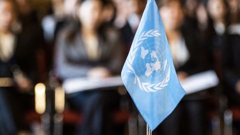 В зале Совета Безопасности ООН установили флаг Эстонии