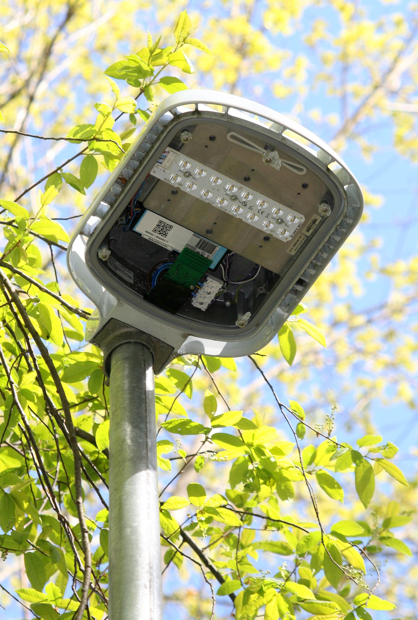 Починка 14 разбитых парковых светильников может обойтись Йыхвиской волости в несколько тысяч евро.