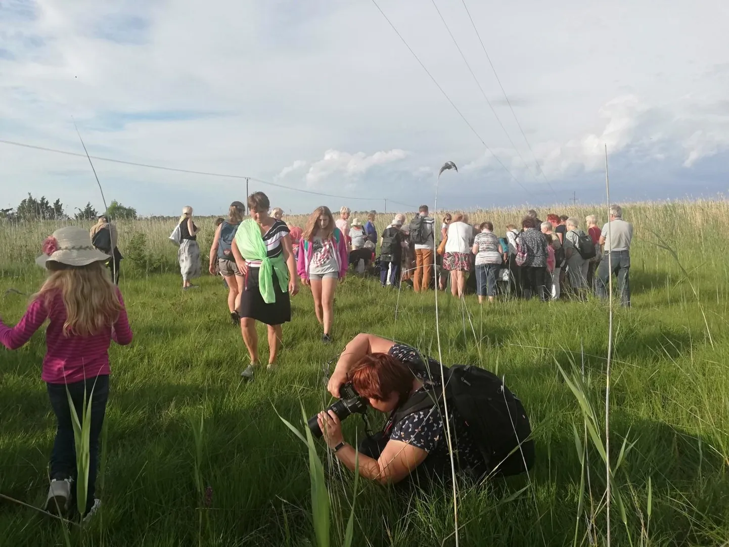 Laelatu puisniidul tänati “Eesti otsib nurmenukke” algatuses osalenud usinaid vaatlejaid, tutvustati tulemusi ja toimus loodusretk õierohkele puisniidule.