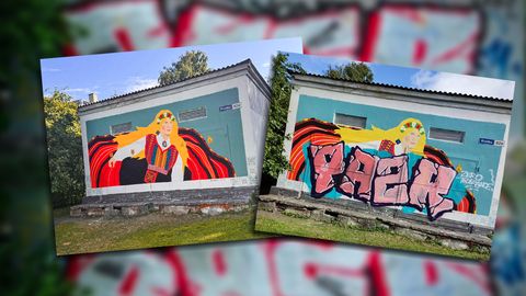 KURB VAATEPILT ⟩ Värskelt valminud rahvuslik seinamaal soditi jõhkralt üle: panime sellesse nii palju aega ja vaeva