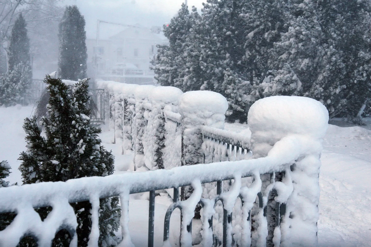 Снег в Ида-Вирумаа.
