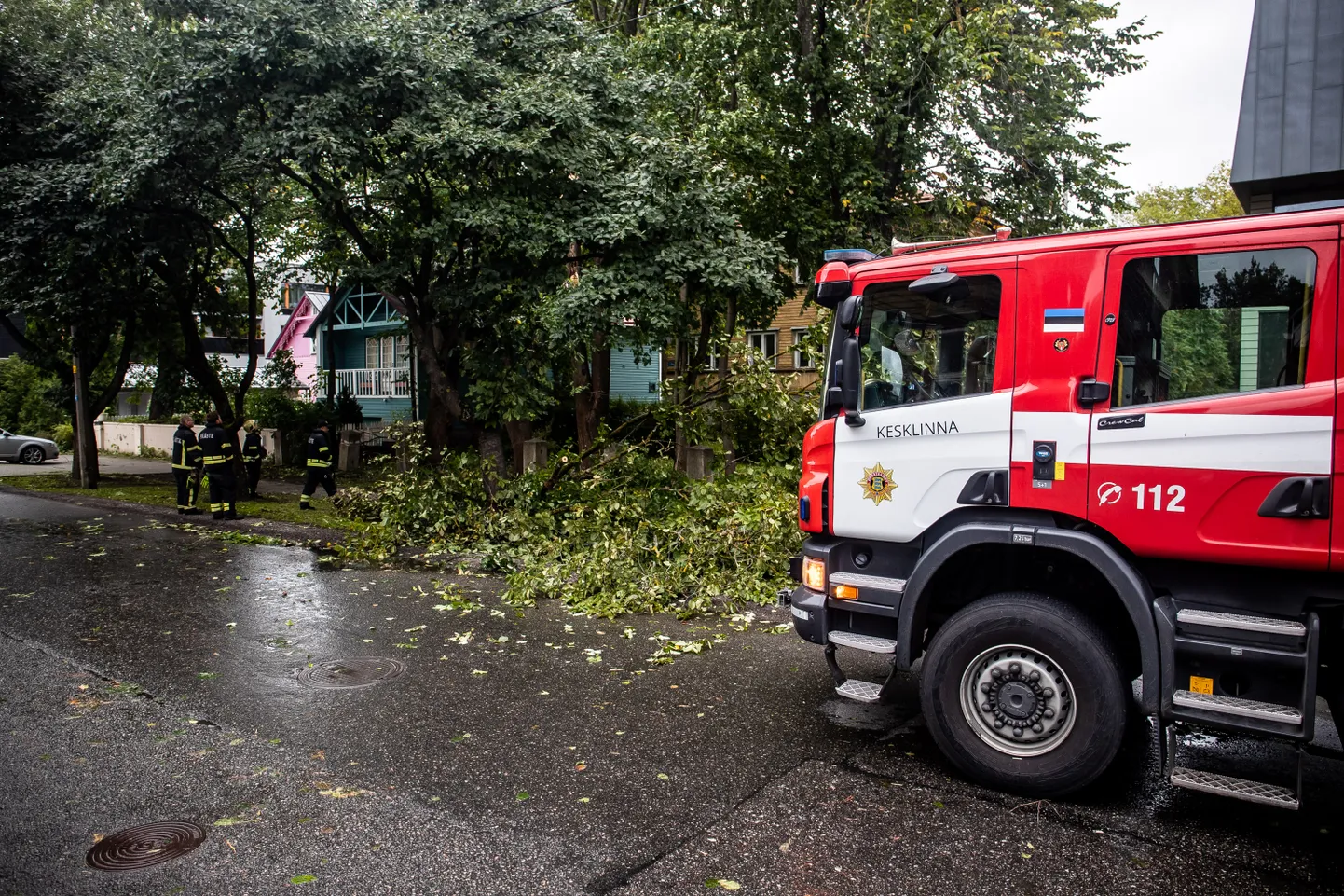 Torm on andnud päästjatele Kadriorus palju tööd.