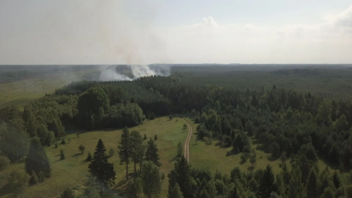 Aarla külas põleb maastik.