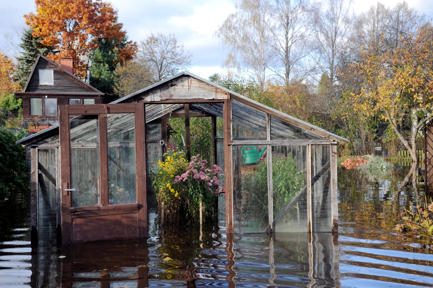 Salaspils pagasta Avotos 2014. gadā applūdušas mājas, jo cēlies ūdens līmenis Mazās Juglas upē.