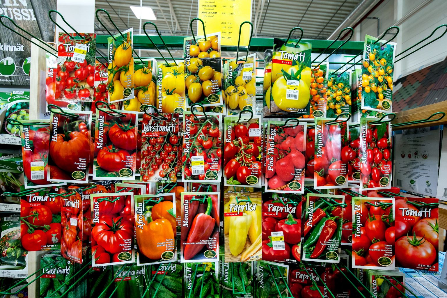 Venemaa tomatisorte on Eestis ammusest ajast kasvatatud ja väga hinnatud, kuid neid praegu tuua ei saa.