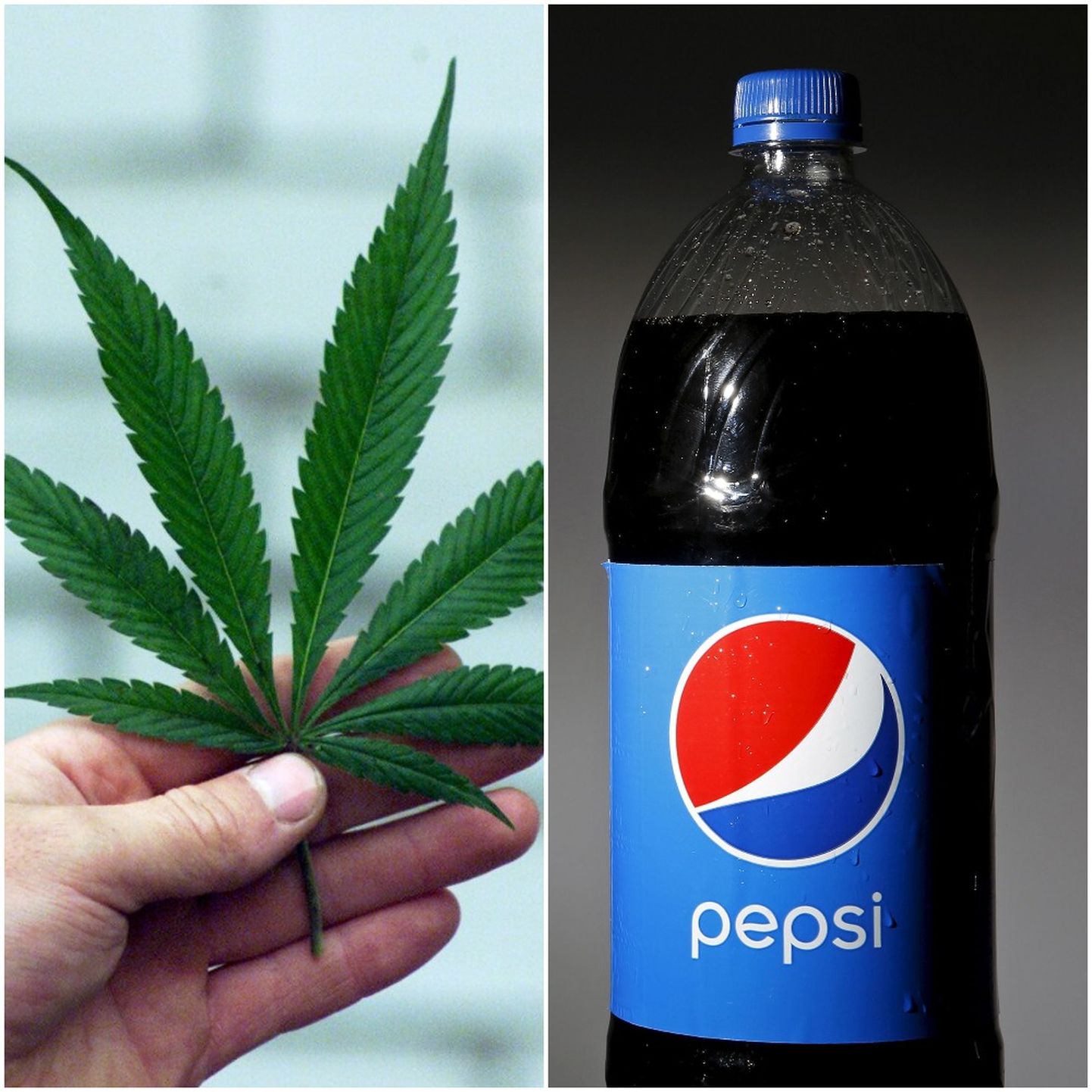 Marijuana Pepsi sai doktorikraadi