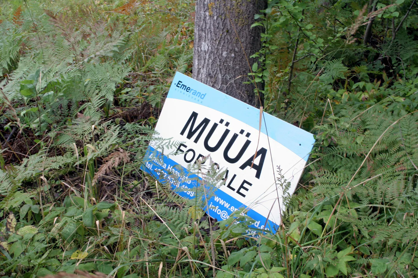 Kinnisvara müügisilt. Kinnisvara, krunt.