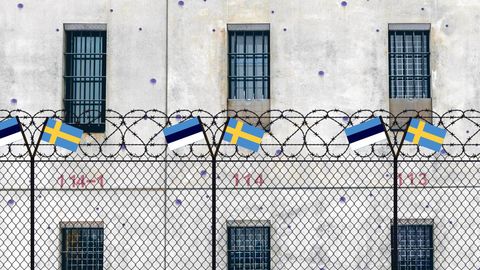 Lukas ja Kergandberg saatsid Rootsi parlamendile rendivanglat puudutava kirja