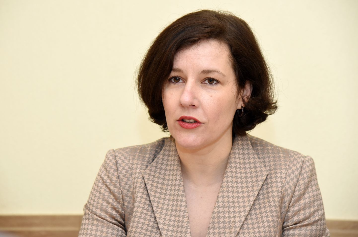 Opozīcijas deputāte Dana Reizniece-Ozola