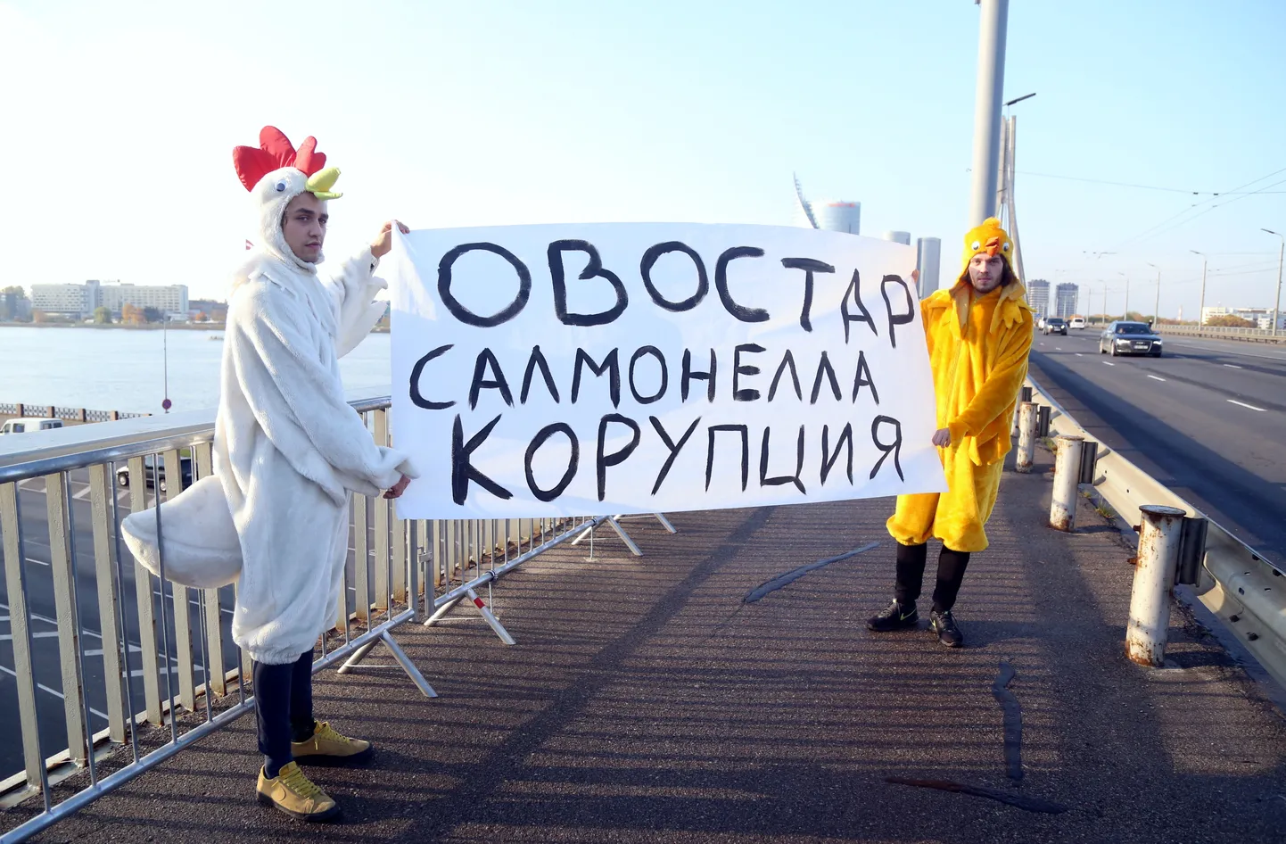 Фото статьи