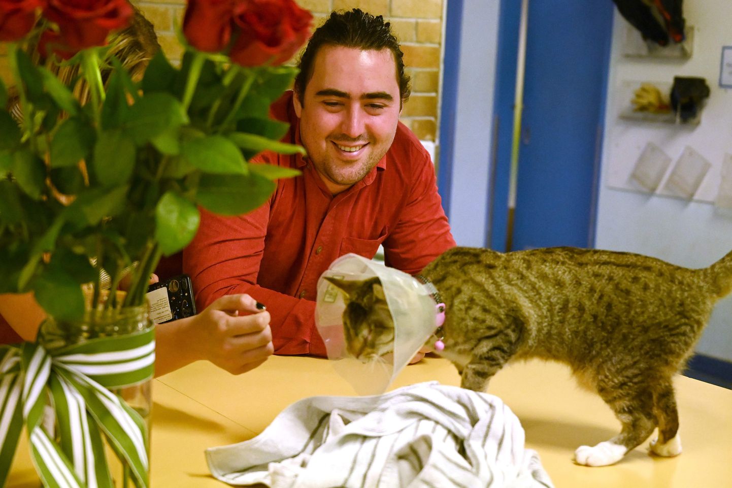 Varjupaigas elanud pime kass Pippa leidis viimaks kodu, sest koroonakriis on innustanud austraallasi kodutuid loomi adopteerima.