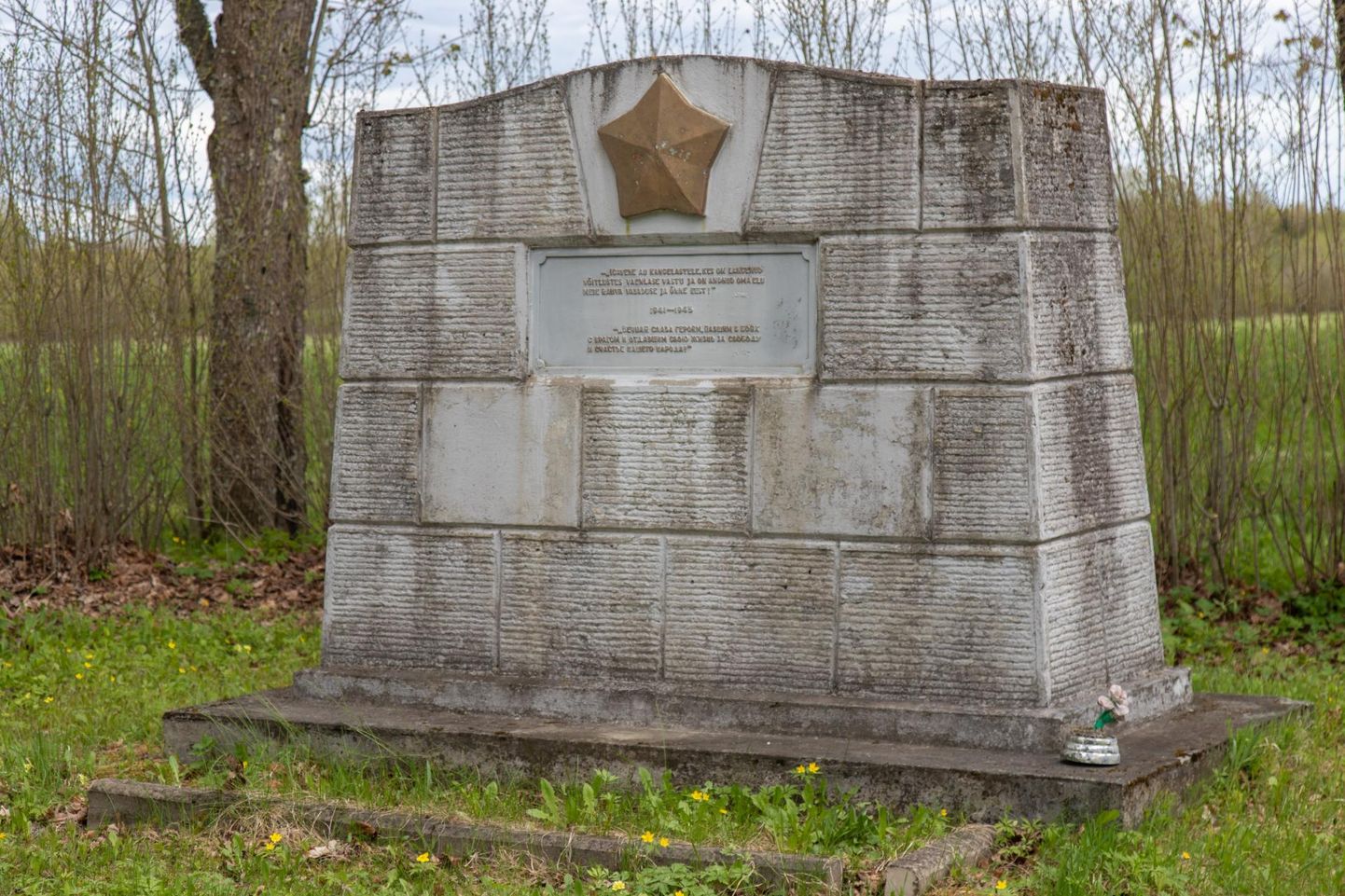 Vallavalitsuse ettepanek on punamonumendid Pilistverest, Suure-Jaanist ja Võhmast kalmistutele viia.