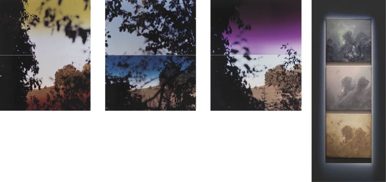 Paul Kuimet «Väike Tamm 1–3» 2023; kromogeenne värvifoto, à 138 × 138 cm