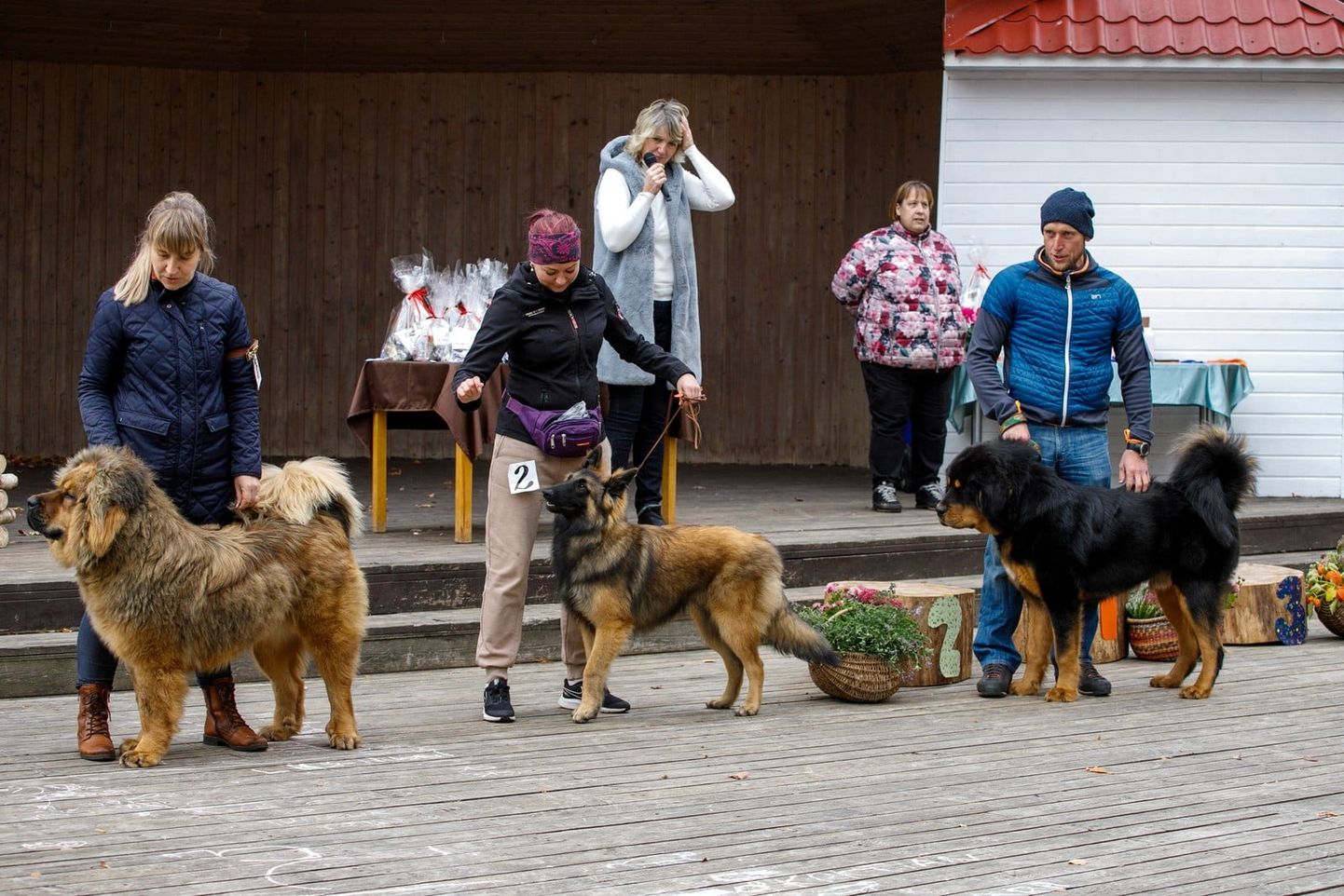 Hiljuti toimus Pukas traditsiooniline sügislaat, mille raames leidis aset ka koertenäitus.
