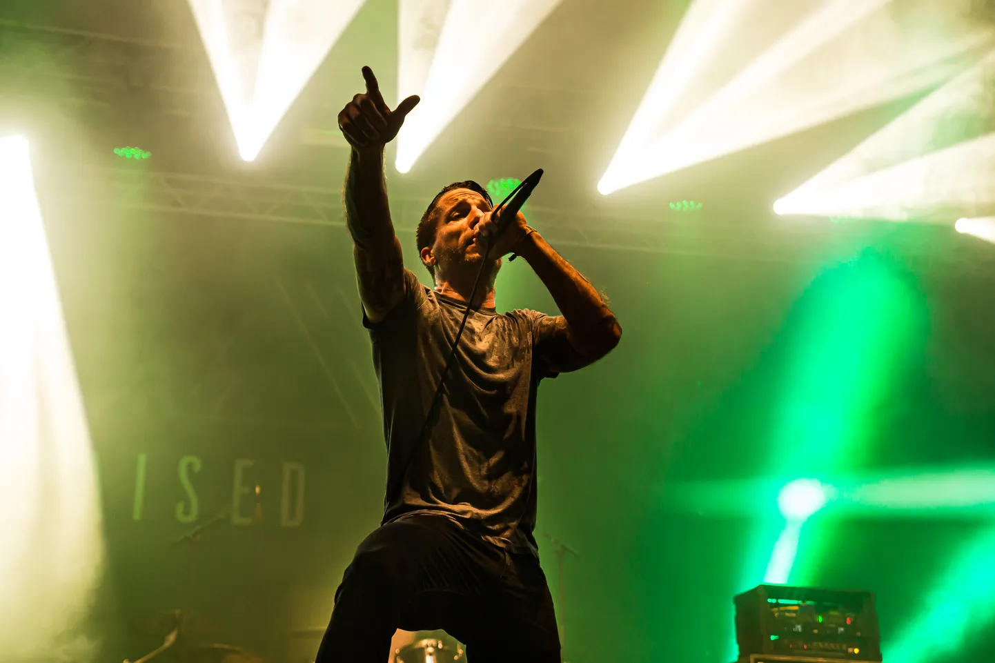 Rootsi hardcore-punk ansambli Raised Fist laulja Alexander Hagman