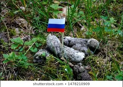 Фото статьи
