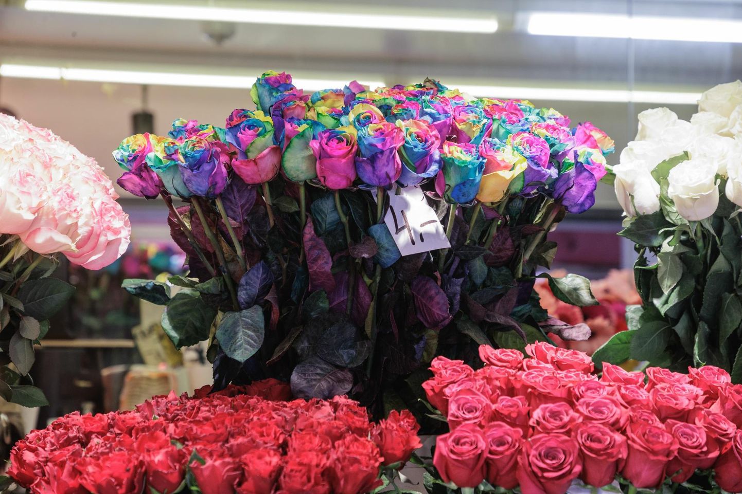 Lisaks odavamatele lilledele eelistavad ostjad ka alati kindla peale minekut ehk rooside ostmist. Valikut oli väga palju ja nii võis Viru tänavalt leida ka taevakarva roose.