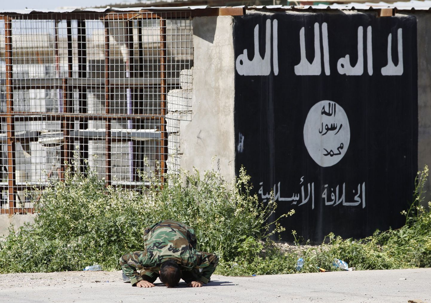 A member of militias known as Hashid Shaabi kneels as he celebrates victory next to a wall painted with the black flag commonly used by Islamic State militants, in the town of al-Alam March 10, 2015. Iraqi troops and militias drove Islamic State insurgents out of the town of al-Alam on Tuesday, clearing a final hurdle before a planned assault on Saddam Hussein's home city of Tikrit in their biggest offensive yet against the ultra-radical group. REUTERS/Thaier Al-Sudani (IRAQ - Tags: POLITICS CIVIL UNREST CONFLICT)