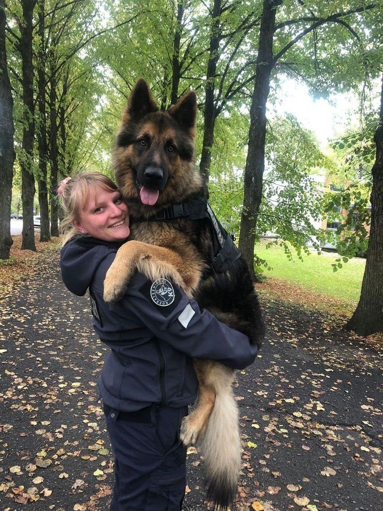 Politseikoer Jackile ja koerajuht Birgit Karule oli reedene sündmus teine edukas ühistöö.