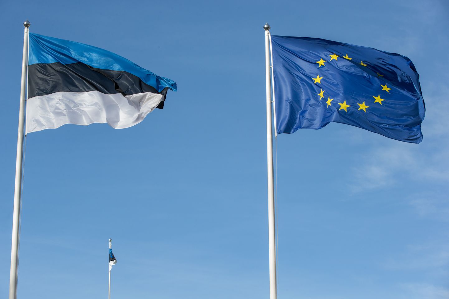 Euroopa Liidu ja Eesti lipud