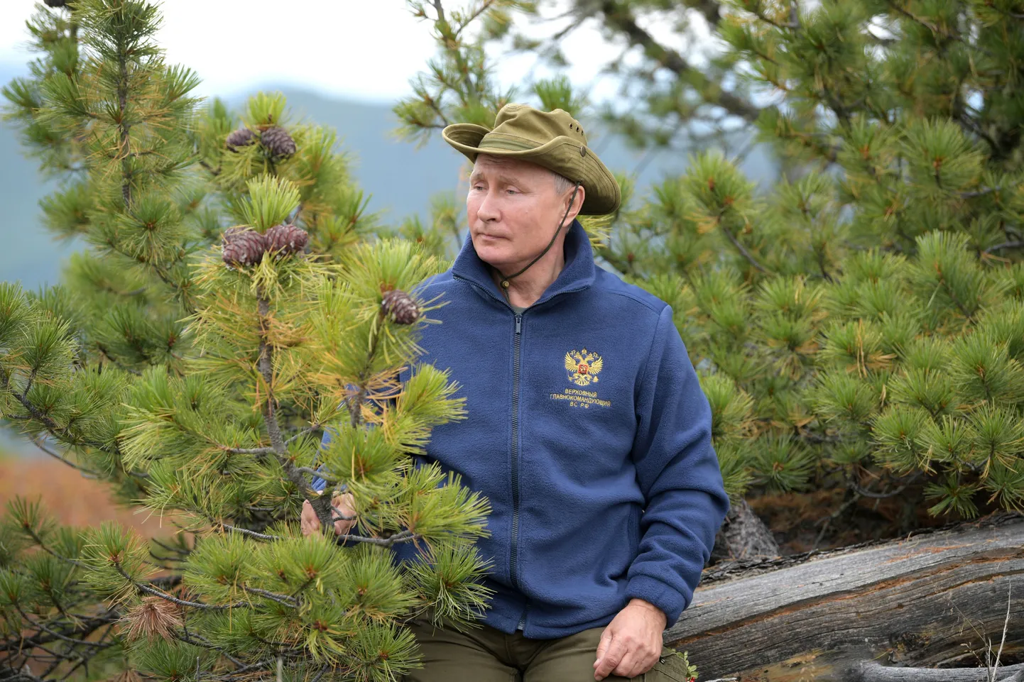 Владимир Путин в тайге.