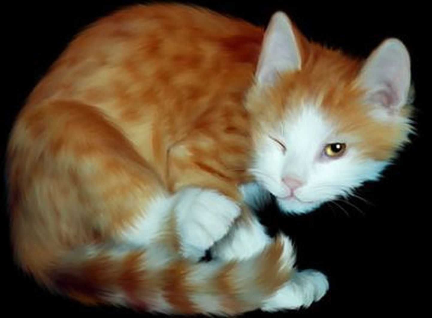 USA teadlased panid kassi geenimanupulatsiooni abil pimedas helendama