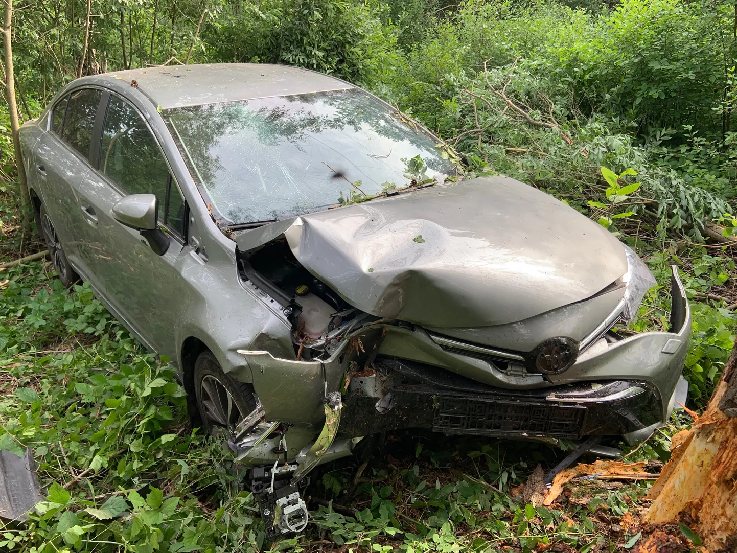 VÕSA VÕTTIS HOO MAHA: Kui sõiduauto täie hooga kraavi põrutas, ei jäänud õnneks kohe ette suuri puid, vaid maantee ääres kasvanud võsa, mis kiirust maha võttis.