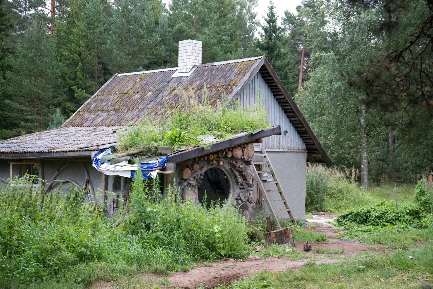 Meie suurtel kaitsealadel on väga erineva ajaloo, välimuse, ehitusviisi ja kasutusega ehitisi. Pildil ökohostel Lahemaa rahvuspargis.