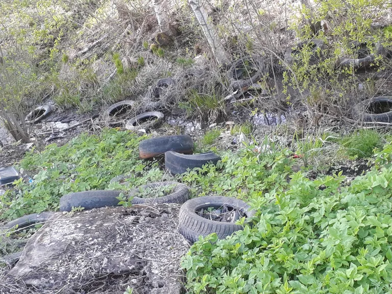 Vabatahlikud kogusid Aardla poldrilt kokku 190 rehvi, mille nende omanikud oleksid võinud tasuta viia kilomeetri kaugusel asuvasse Aardlapalu endise prügila jäätmejaama.