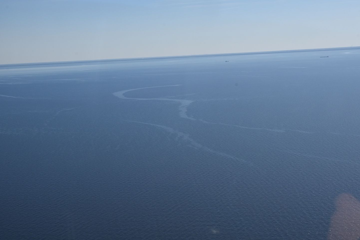 Вблизи Тойла обнаружено загрязнение моря.