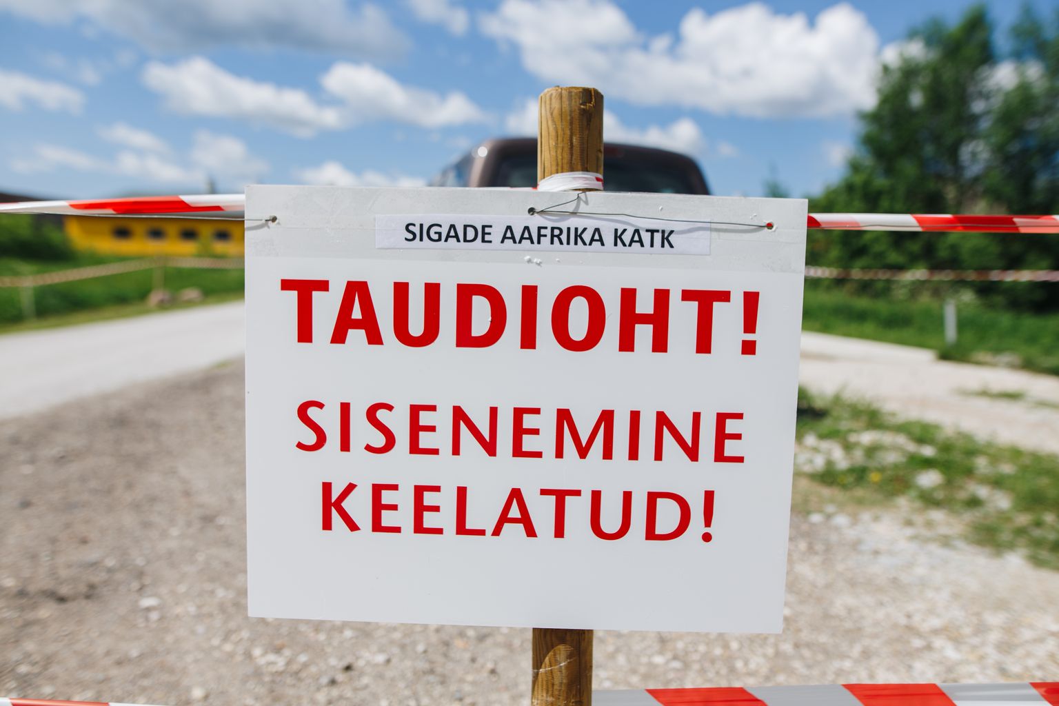 Eestis levis viirus väga ulatuslikult 2015.–2017. aastatel ja puudutas toona kokku 27 farmi, milles taudi tõttu suri või hukati 42 583 siga.