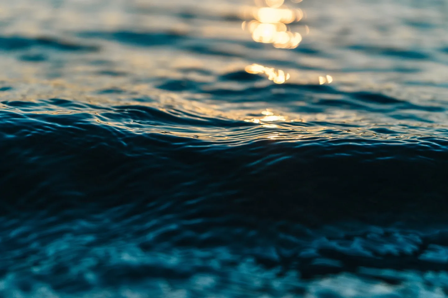 Водоем. Иллюстративное фото