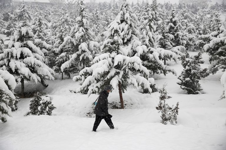 Poiss liikumas Afganistani Kabuli lähedases lumises metsas.