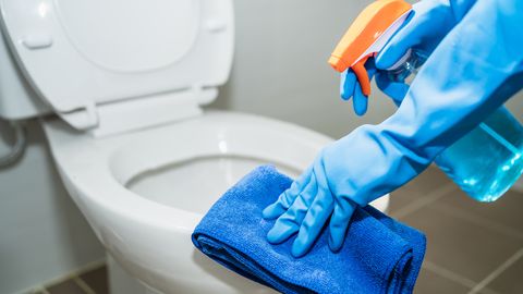 OHHOO ⟩ Salajane nupp WC-potil, mis teeb selle puhastamise imelihtsaks