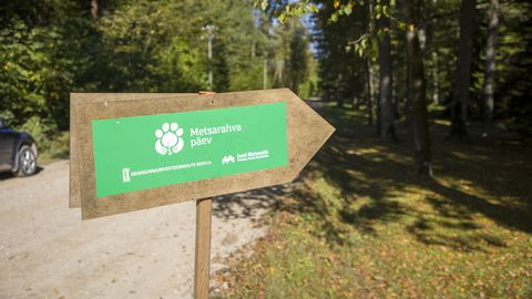 Tõrvaaugu metsa- ja matkapäev ootab osalema