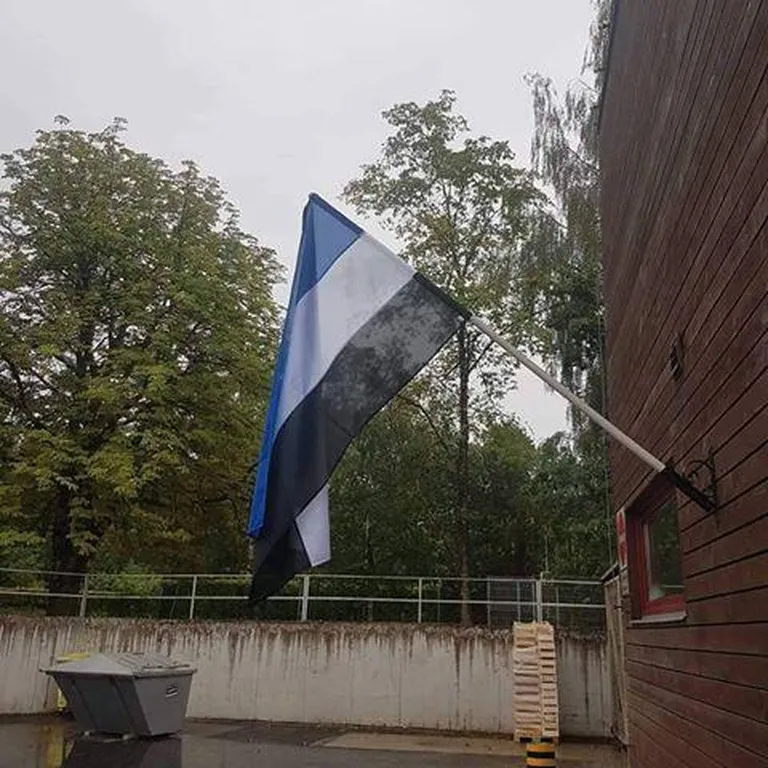 20. augustil 2018 heiskas Viljandi Maxima lipumasti riidetüki, mis oli küll Eesti lipu värvides, kuid mitte meie trikoloor.