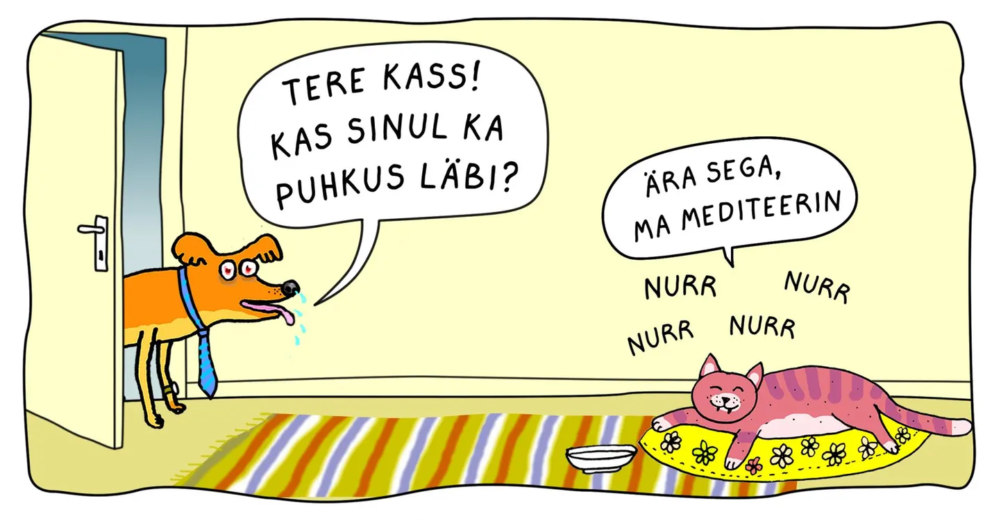 Teeme rahval tuju paremaks.