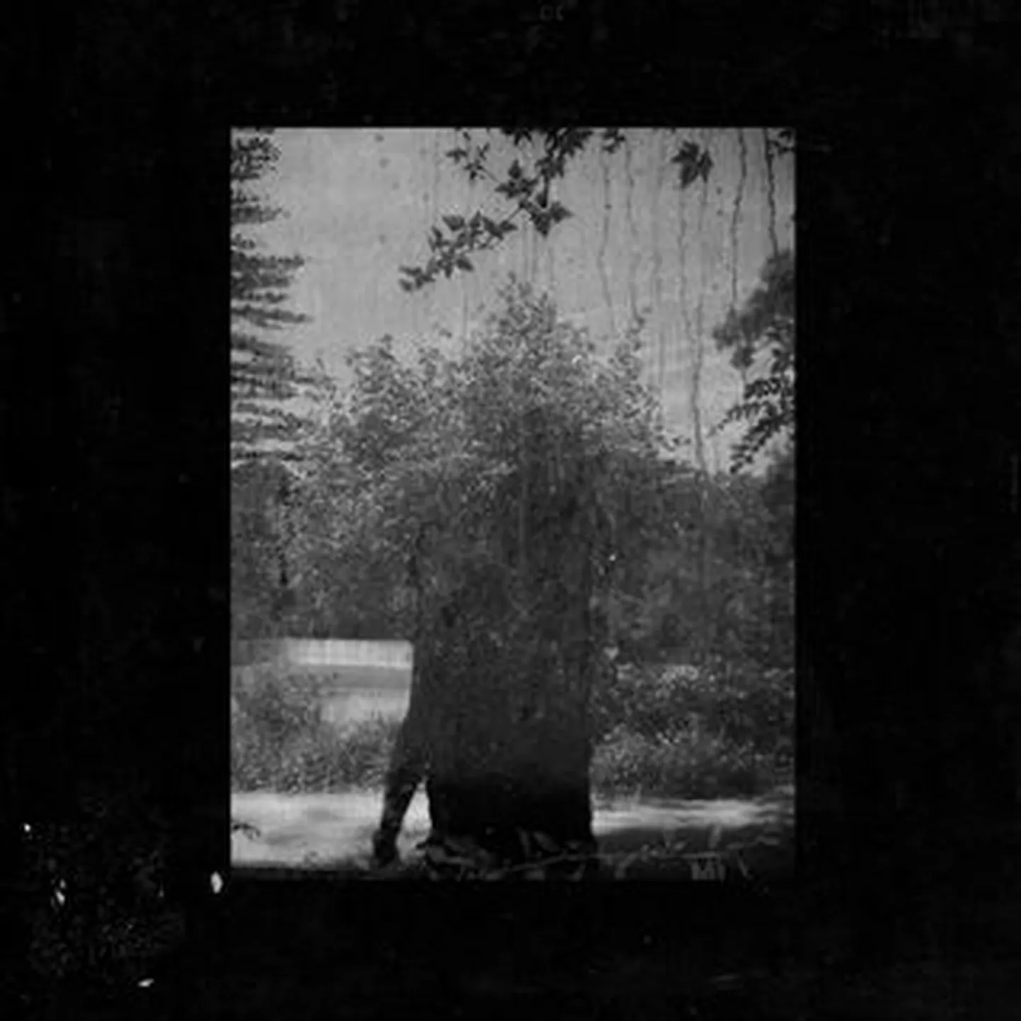 Grouper-Ruins