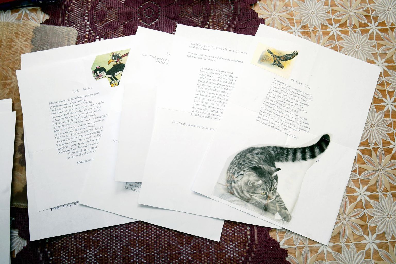 Hilja Kull trükkis oma luuletused arvutist välja ja kleepis neile enne saatmist kaunistuseks kassipildid, sest kirjade saaja Aita Maasik peab kassidest väga lugu.