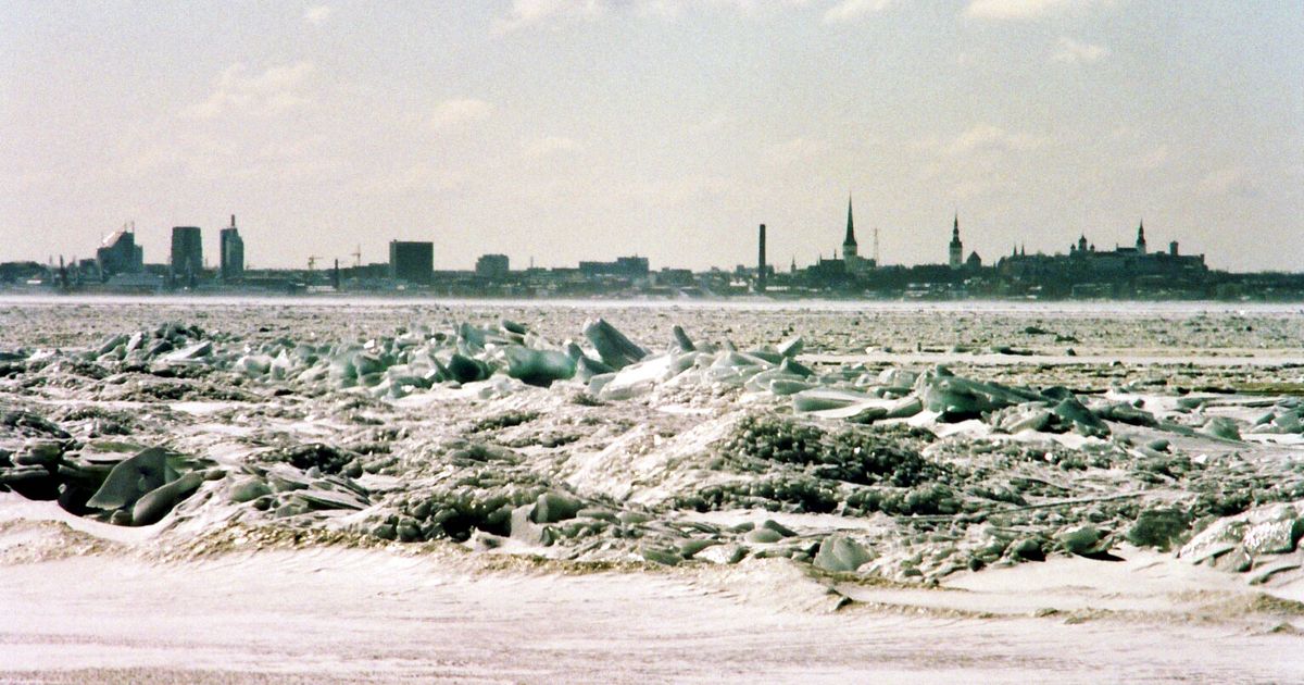 Tallinna vaatega maali eest küsitakse ligi miljon eurot