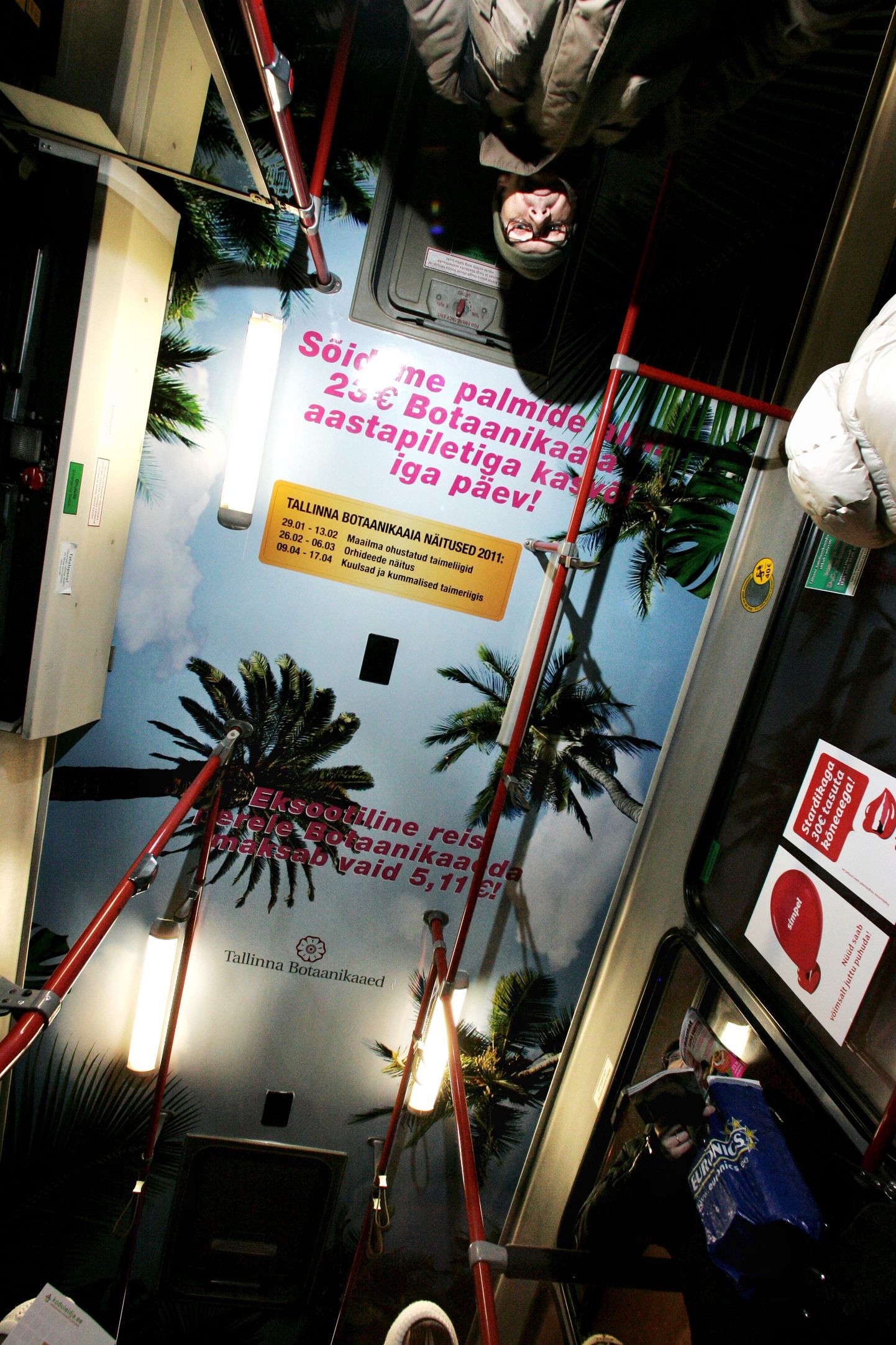 8. liinil sõitva bussi lagi on kaetud palmide ja taeva motiividega.