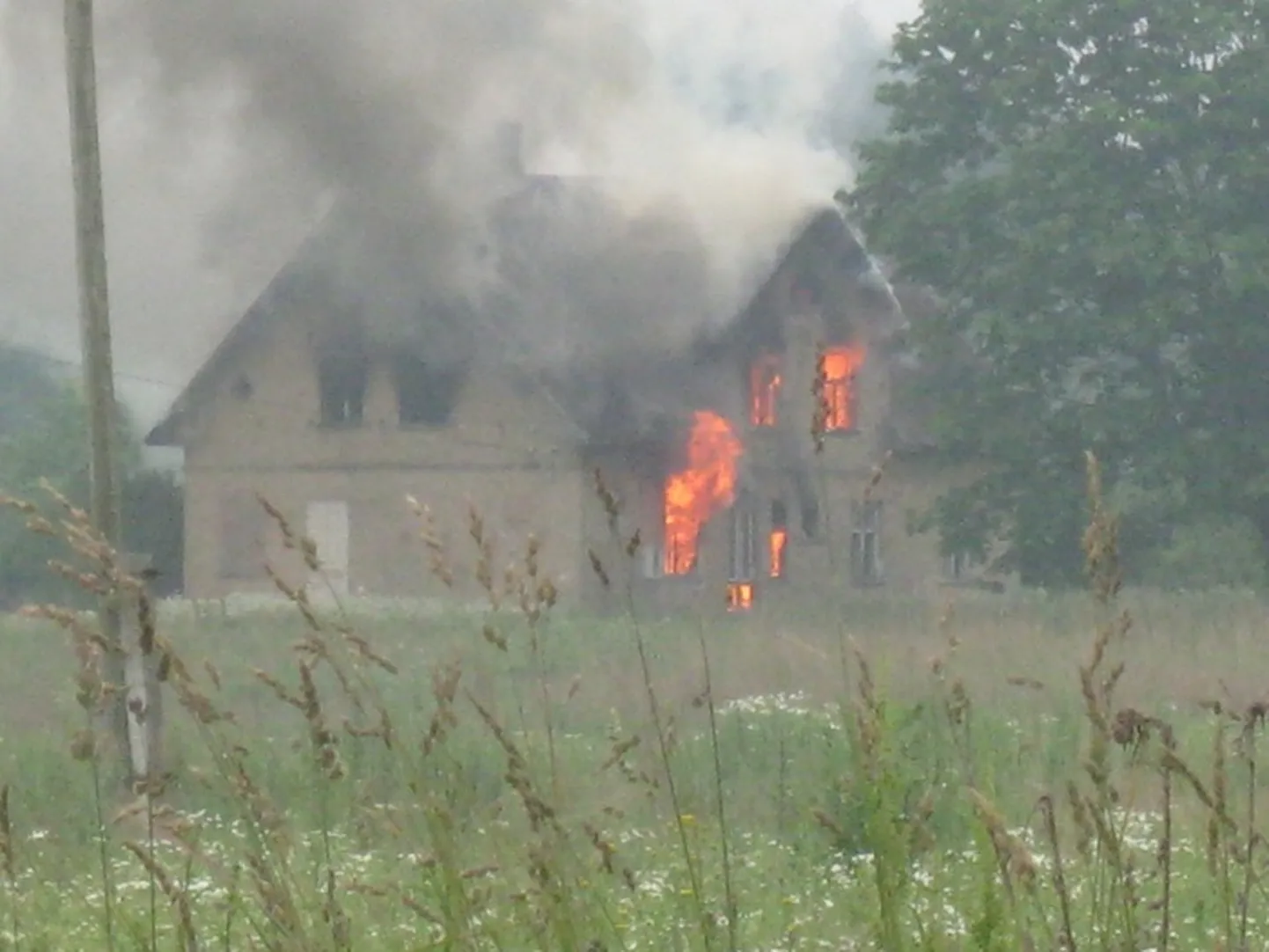 Raksta foto