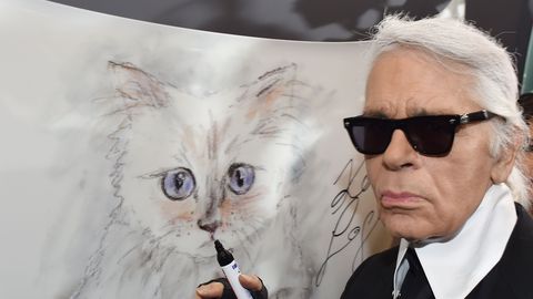 MAAILMA RIKKAIM KASS ⟩ Karl Lagerfeldi lemmik pidi pärima ül