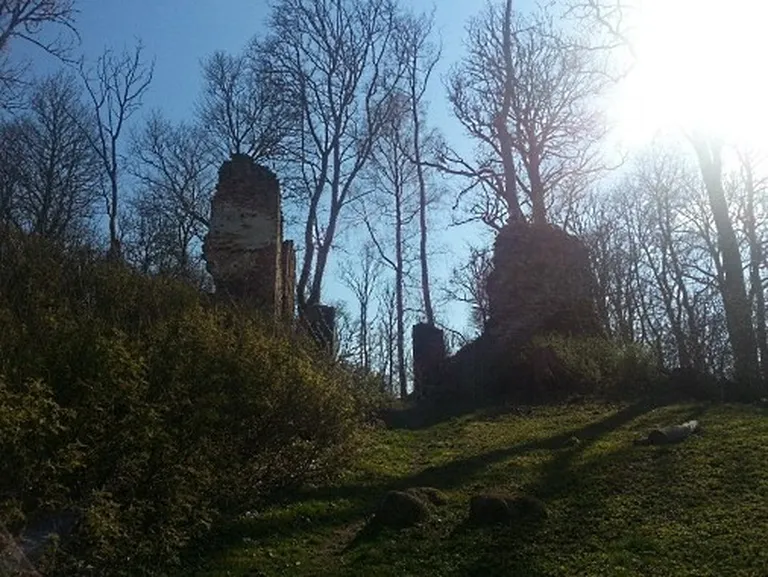 Фото статьи
