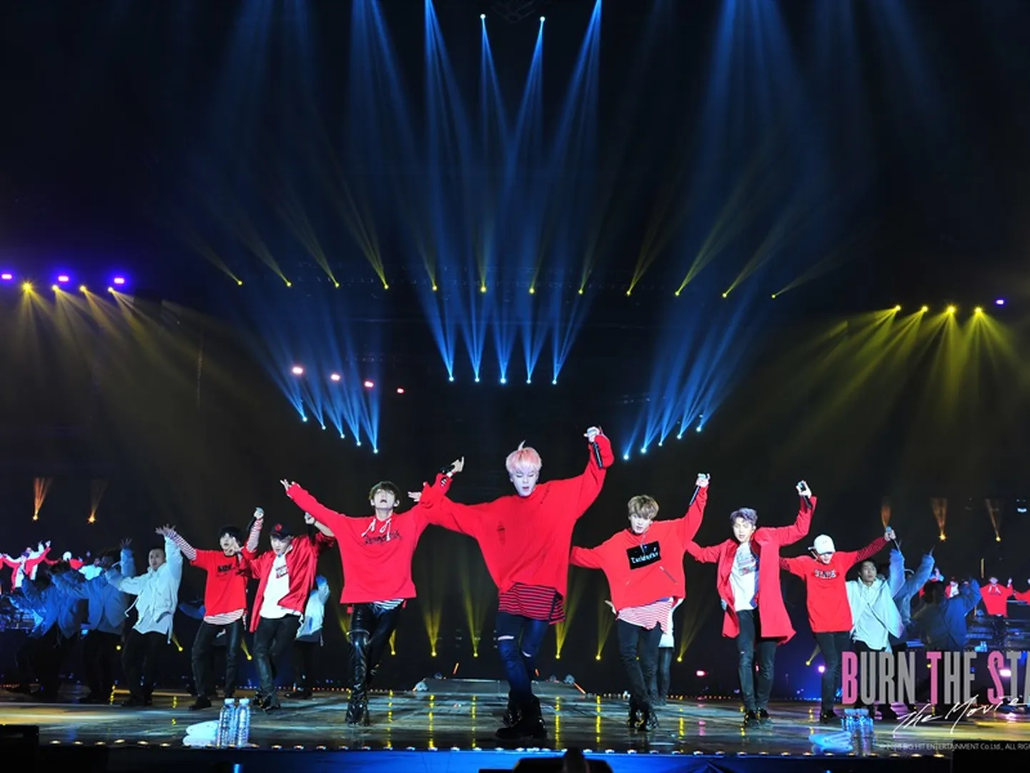 «Burn the Stage: The Movie»