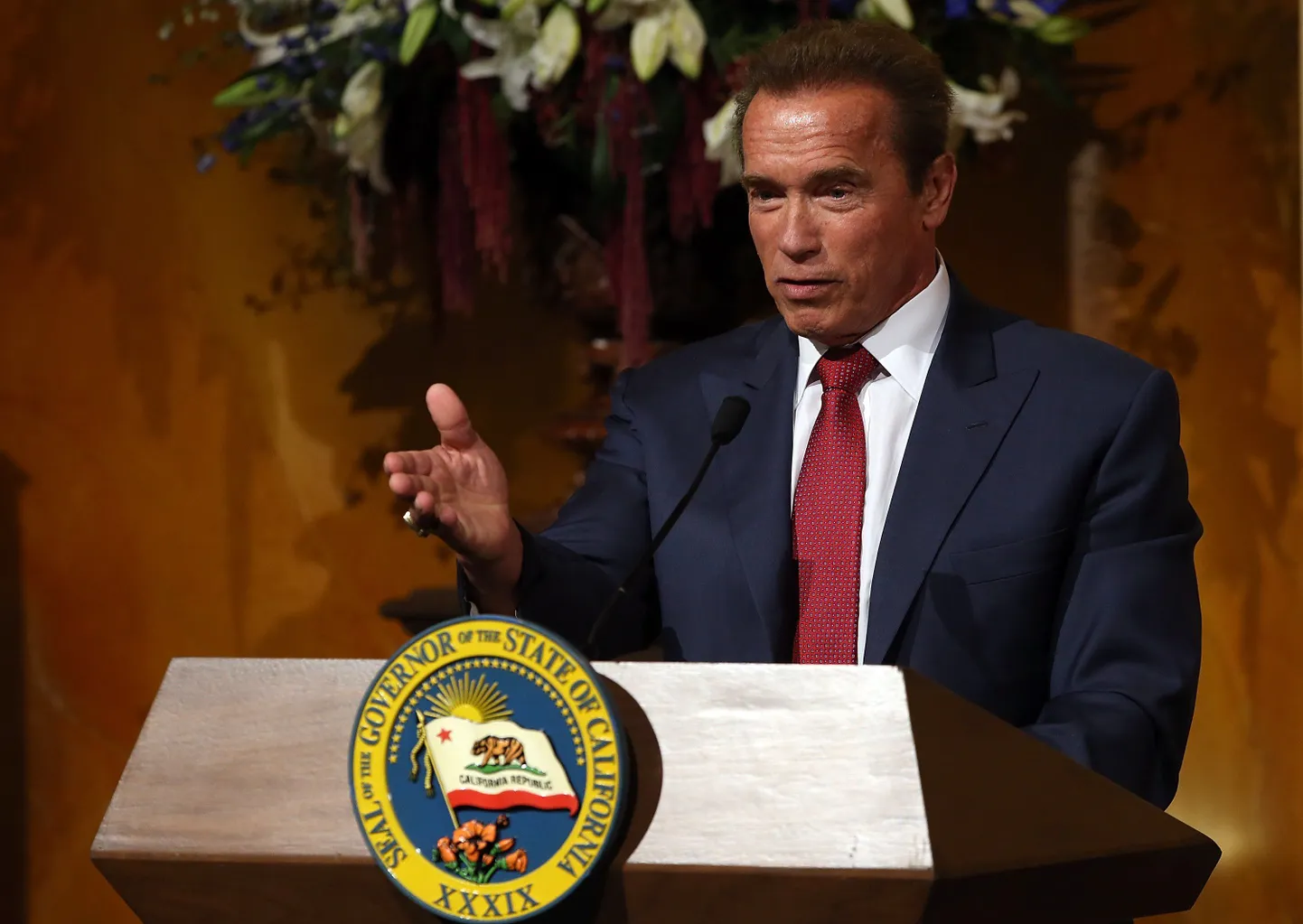 Arnold Schwarzenegger