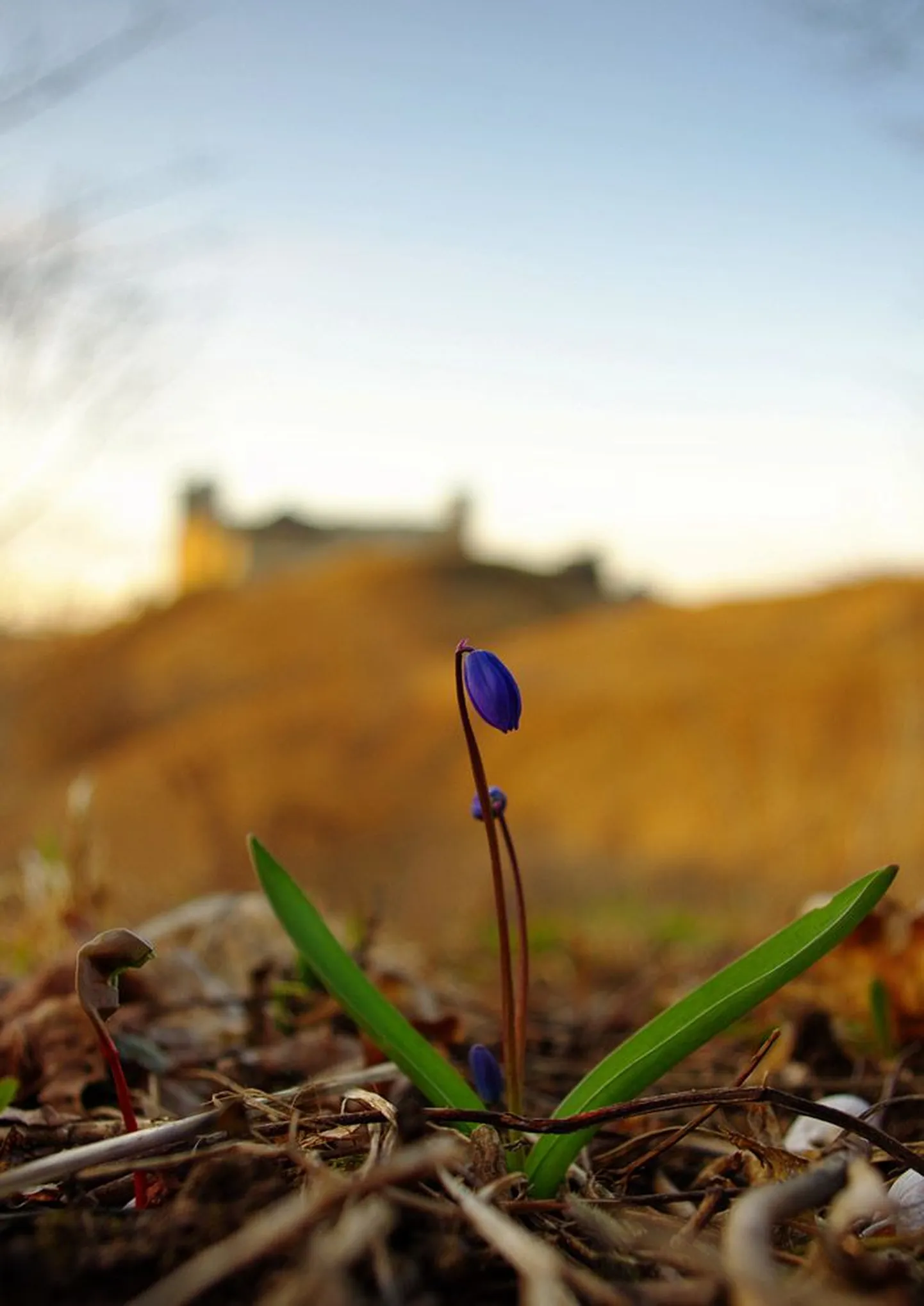 Ilmatargad: soojaks läheb alles mai teisel poolel